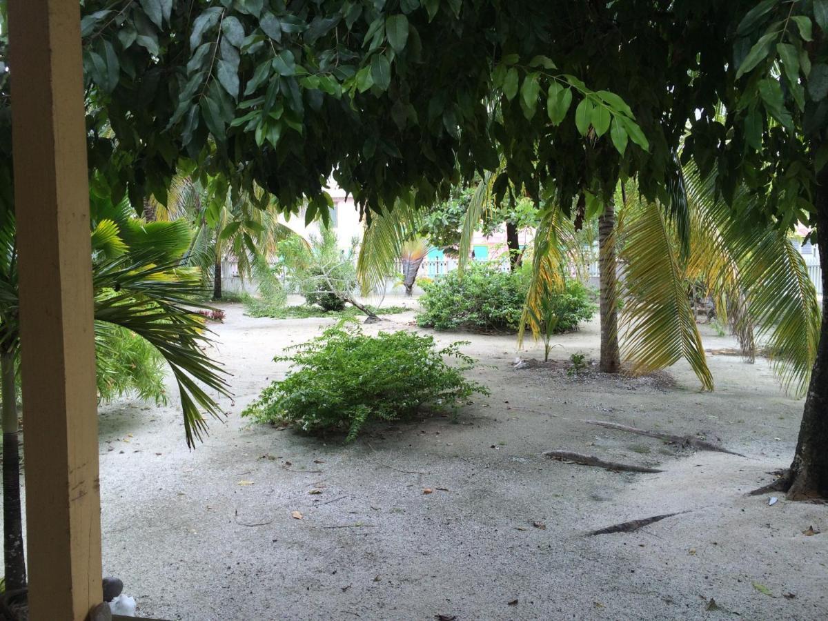Jaguar Morning Star Hotel Caye Corker Pokój zdjęcie